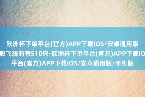 欧洲杯下单平台(官方)APP下载IOS/安卓通用版/手机版当天科创板个股飞腾的有510只-欧洲杯下单平台(官方)APP下载IOS/安卓通用版/手机版