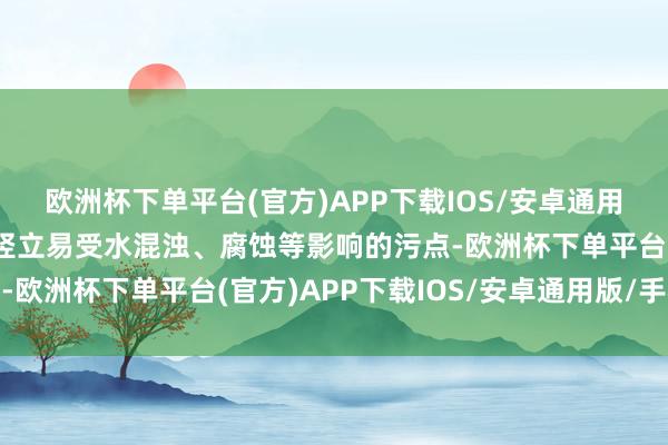 欧洲杯下单平台(官方)APP下载IOS/安卓通用版/手机版幸免了传统竖立易受水混浊、腐蚀等影响的污点-欧洲杯下单平台(官方)APP下载IOS/安卓通用版/手机版