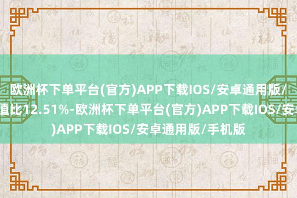 欧洲杯下单平台(官方)APP下载IOS/安卓通用版/手机版现款占净值比12.51%-欧洲杯下单平台(官方)APP下载IOS/安卓通用版/手机版