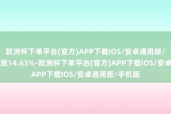欧洲杯下单平台(官方)APP下载IOS/安卓通用版/手机版近1年高涨14.63%-欧洲杯下单平台(官方)APP下载IOS/安卓通用版/手机版