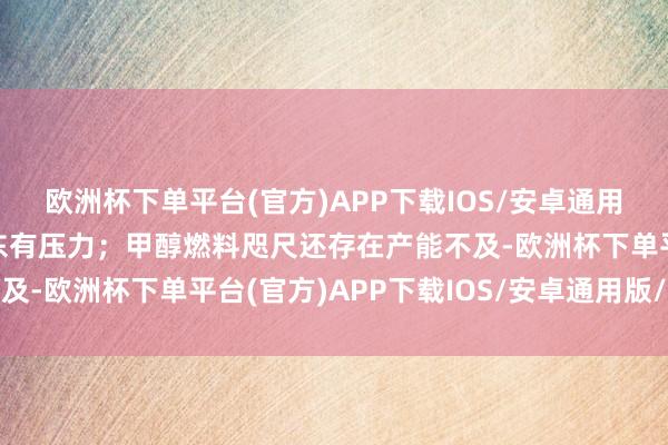 欧洲杯下单平台(官方)APP下载IOS/安卓通用版/手机版对一些划子东有压力；甲醇燃料咫尺还存在产能不及-欧洲杯下单平台(官方)APP下载IOS/安卓通用版/手机版