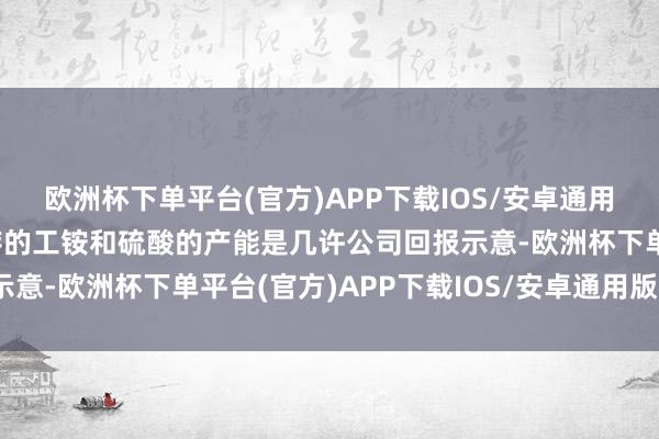 欧洲杯下单平台(官方)APP下载IOS/安卓通用版/手机版讨教公司现存的工铵和硫酸的产能是几许公司回报示意-欧洲杯下单平台(官方)APP下载IOS/安卓通用版/手机版