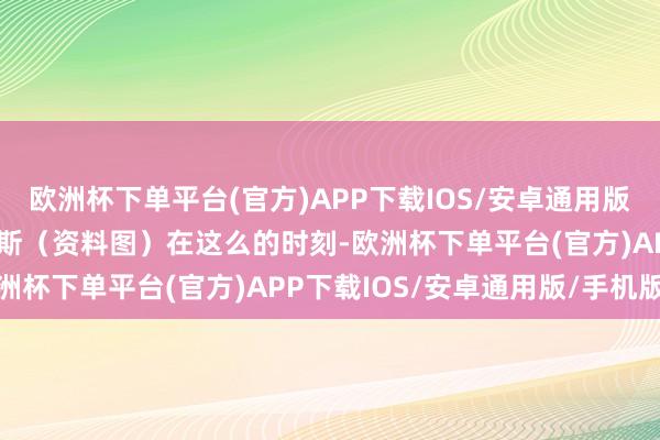 欧洲杯下单平台(官方)APP下载IOS/安卓通用版/手机版菲律宾总统马科斯（资料图）在这么的时刻-欧洲杯下单平台(官方)APP下载IOS/安卓通用版/手机版