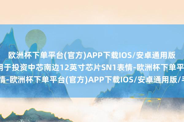 欧洲杯下单平台(官方)APP下载IOS/安卓通用版/手机版所募资金主要用于投资中芯南边12英寸芯片SN1表情-欧洲杯下单平台(官方)APP下载IOS/安卓通用版/手机版