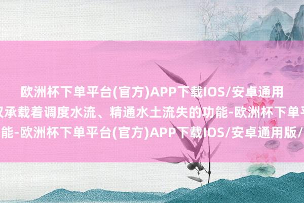 欧洲杯下单平台(官方)APP下载IOS/安卓通用版/手机版这种模具不仅承载着调度水流、精通水土流失的功能-欧洲杯下单平台(官方)APP下载IOS/安卓通用版/手机版