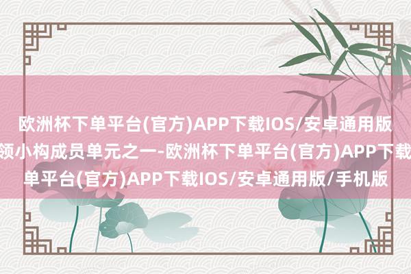 欧洲杯下单平台(官方)APP下载IOS/安卓通用版/手机版行为城市保险带领小构成员单元之一-欧洲杯下单平台(官方)APP下载IOS/安卓通用版/手机版
