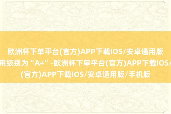 欧洲杯下单平台(官方)APP下载IOS/安卓通用版/手机版利扬转债信用级别为“A+”-欧洲杯下单平台(官方)APP下载IOS/安卓通用版/手机版