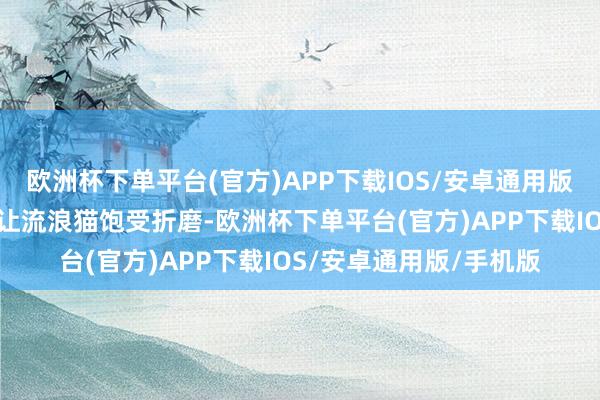 欧洲杯下单平台(官方)APP下载IOS/安卓通用版/手机版这些疾病不仅让流浪猫饱受折磨-欧洲杯下单平台(官方)APP下载IOS/安卓通用版/手机版